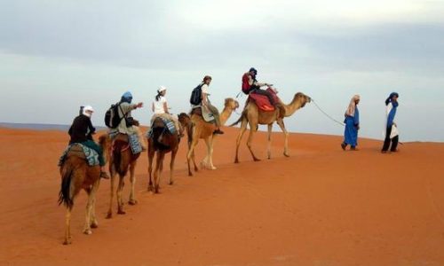 Camel Safari Sam Jaisalmer